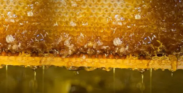 Proceso de fraccionado 2